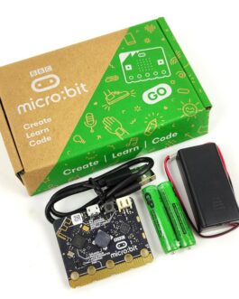 MICRO BIT GO V2